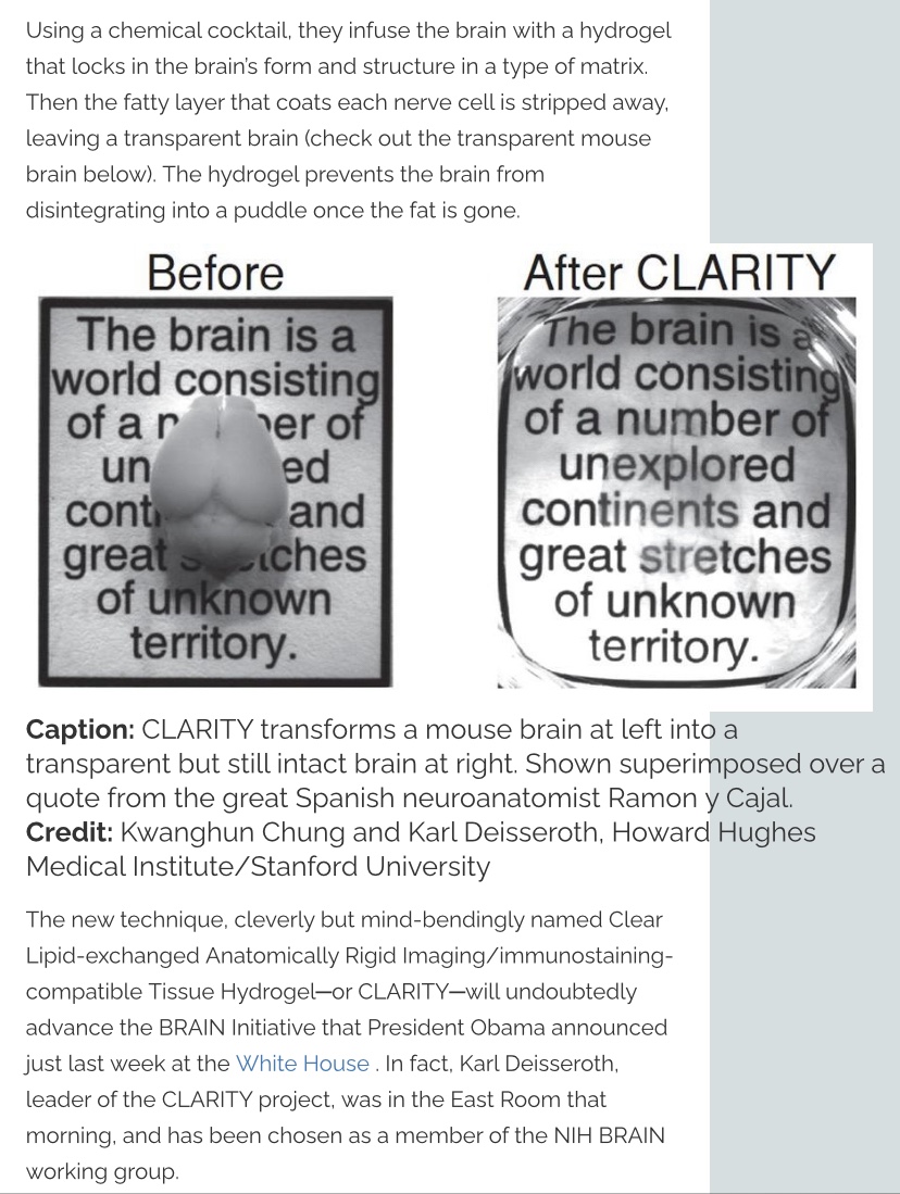 So what da hell is Braintransparency and Braintargeting?