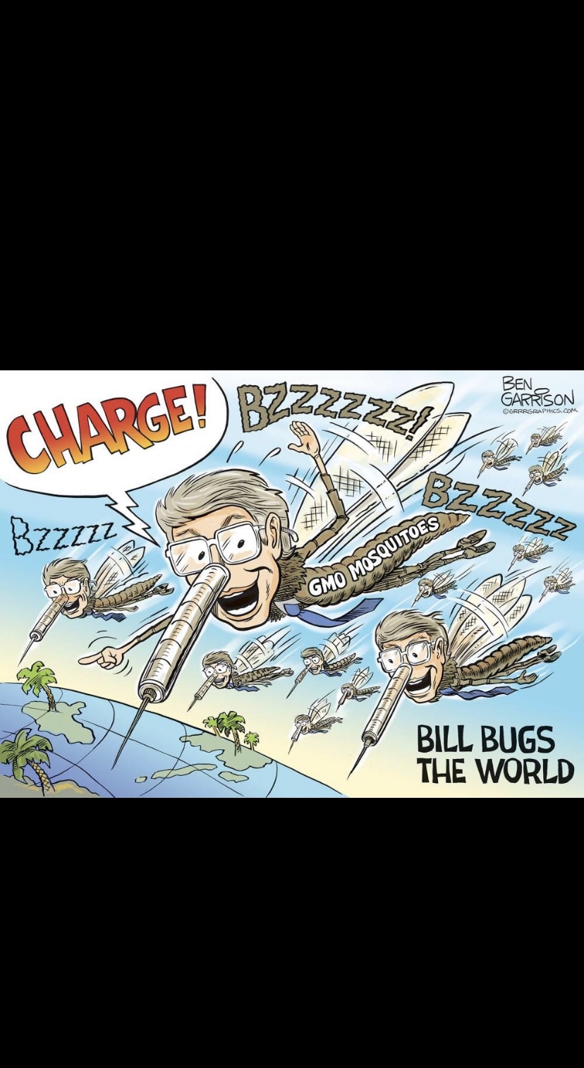 Oxitec Mosquitos and the Bill Gates-Epstein-Harvard connection