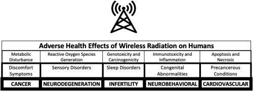 5G & RADIATION – WHAT WE KNOW ABOUT IT